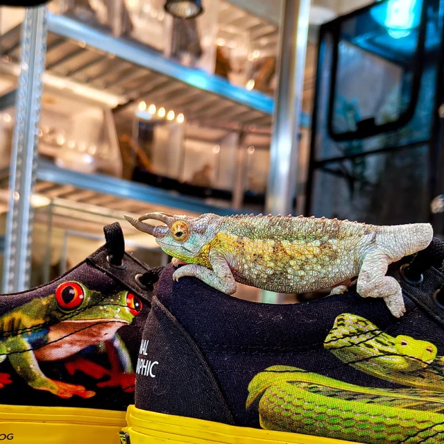 518567840_18287125759250391_65